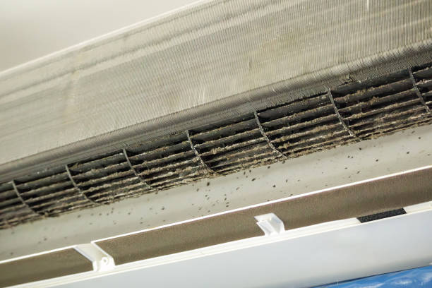 Best Air Duct Cleaning Near Me  in Wareham Center, MA